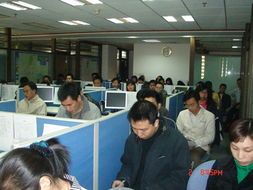 專業(yè)賦能，價值共創(chuàng) 廣東美佳聯房地產與土地評估咨詢及房地產經紀服務解析